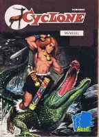Couverture cvf_aredit_cyclone_2_16