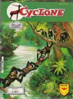 Couverture cvf_aredit_cyclone_2_08