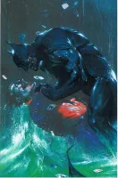 Couverture cvf_panini_superman_batman_07_tl