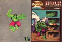Couverture colorietoimemehulk