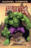 Couverture hulk1