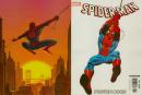 Couverture spidermanposterbook2007