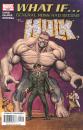 Couverture hulk2004